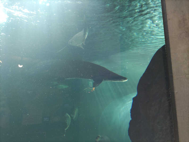 カニすきさんのまほろばの湯 湯親館のサ活写真