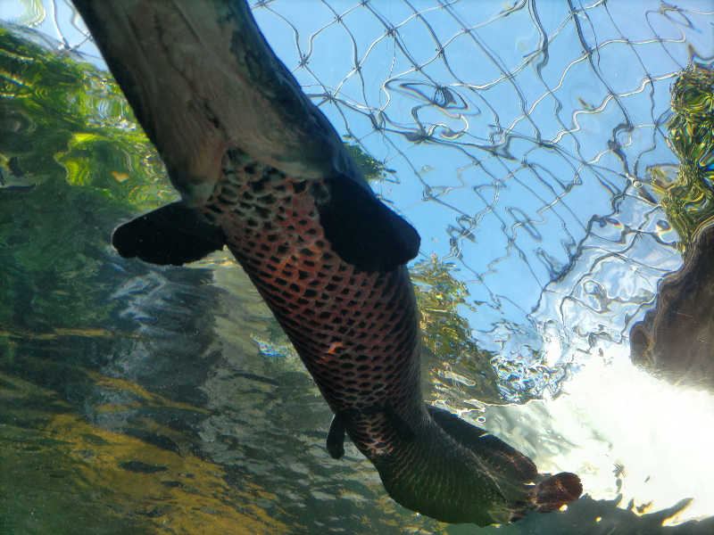 カニすきさんのまほろばの湯 湯親館のサ活写真