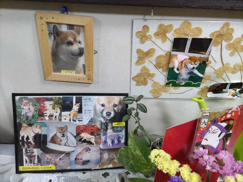 カニすきさんのスパドームのサ活写真