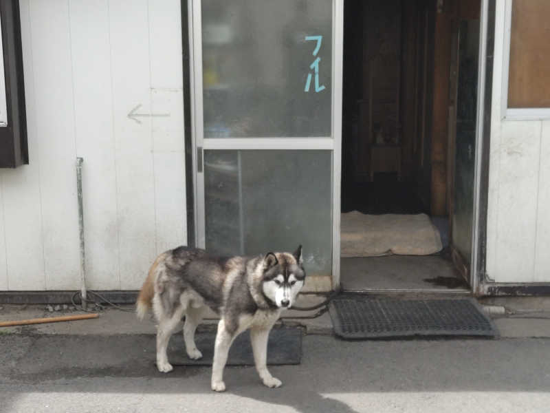 カニすきさんの松の湯のサ活写真