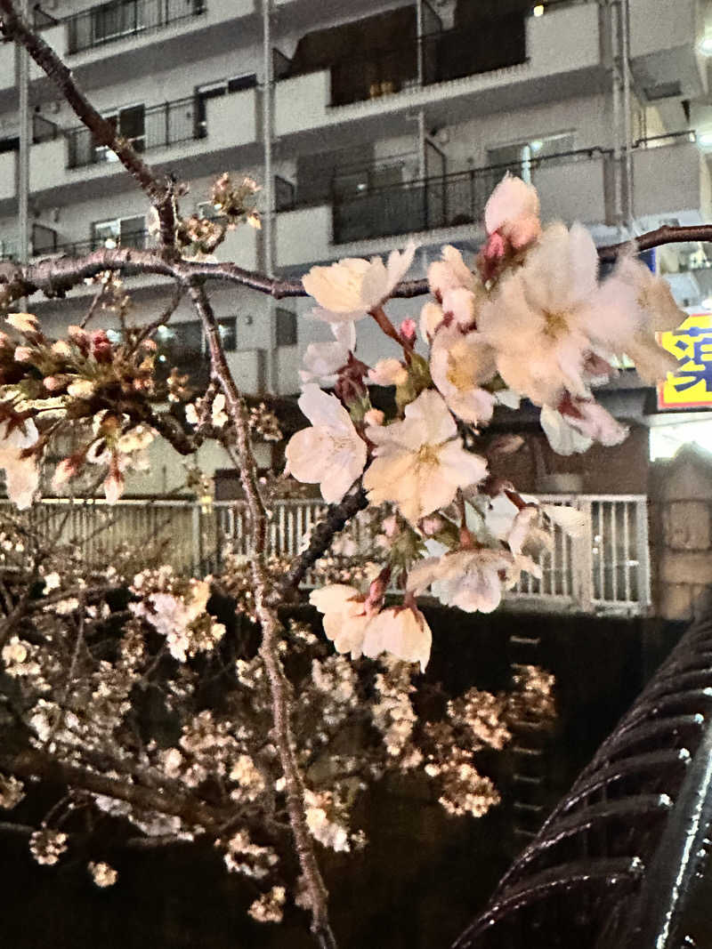 rnpさんの松本湯のサ活写真