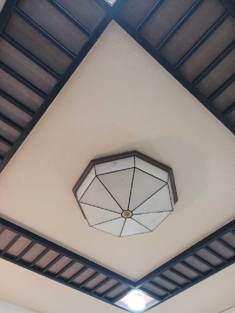 ひろしまあやこさんのそてつ湯のサ活写真