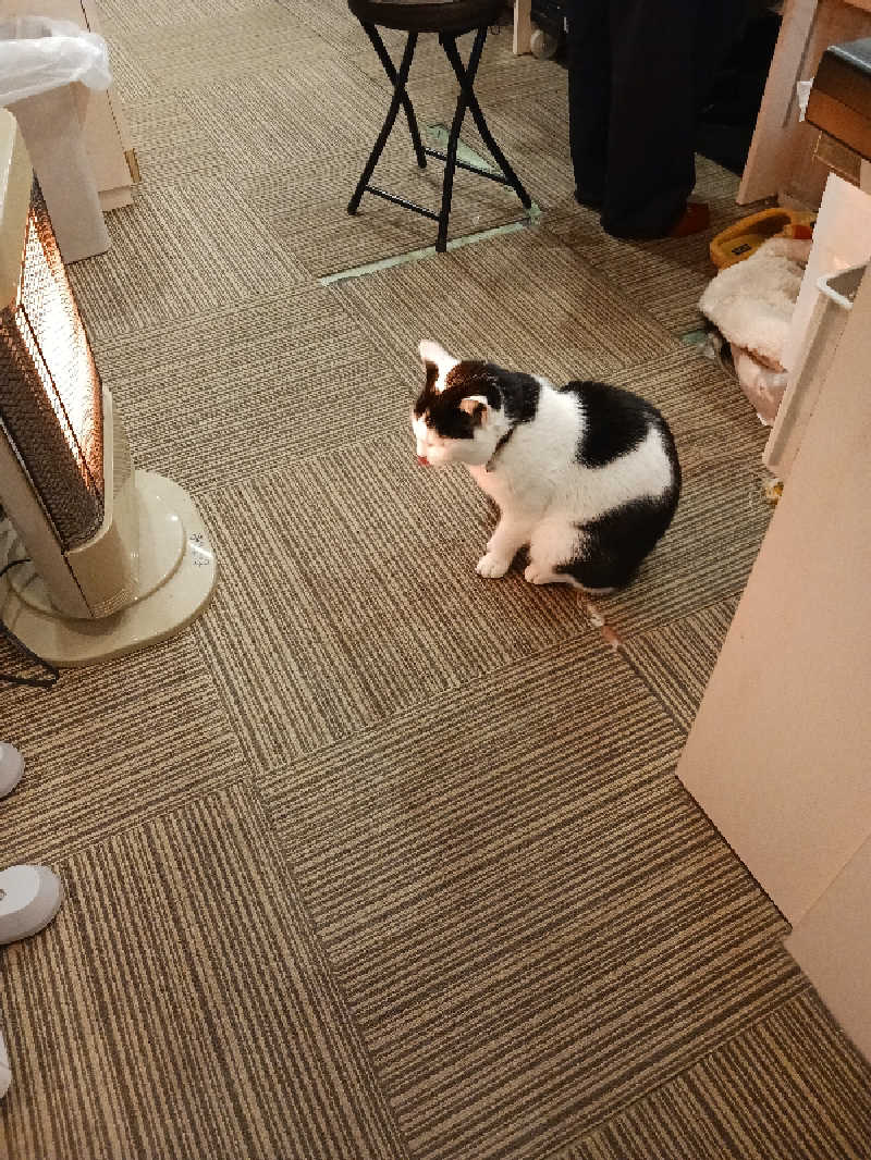 ひろしまあやこさんの行田・湯本天然温泉 茂美の湯のサ活写真