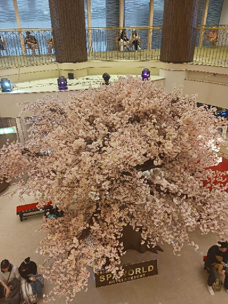 ひろしまあやこさんのSPAWORLD HOTEL&RESORTのサ活写真