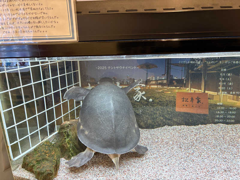 コサクさんの松本湯のサ活写真