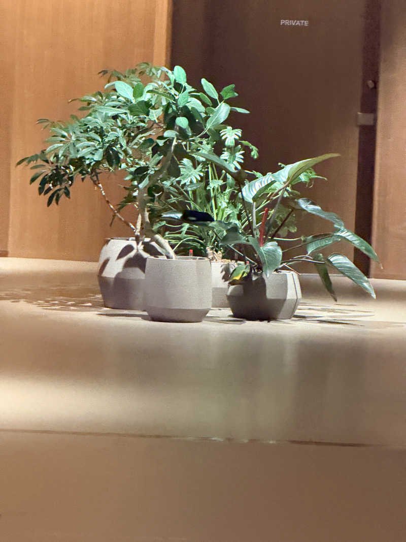 yu_kiさんの高輪SAUNASのサ活写真