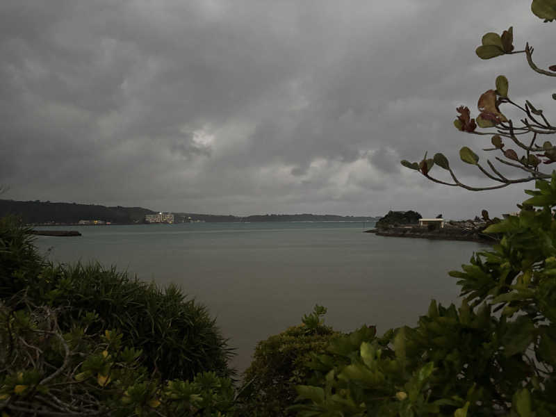 しげしさんのルネッサンス リゾート オキナワ 山田温泉のサ活写真