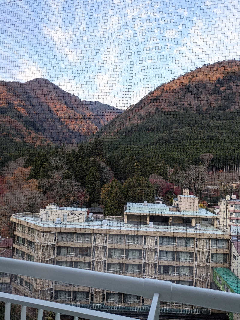 ゆけむりさんの大江戸温泉物語 premiumホテルニュー塩原のサ活写真