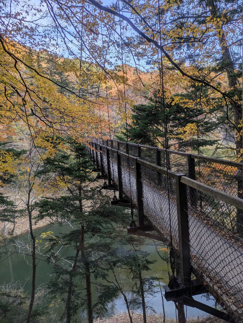 ゆけむりさんの大江戸温泉物語 premiumホテルニュー塩原のサ活写真