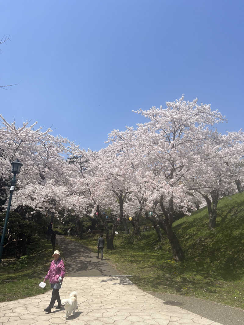 無双サウファー旅人🌏🚙✨さんの谷地頭温泉のサ活写真