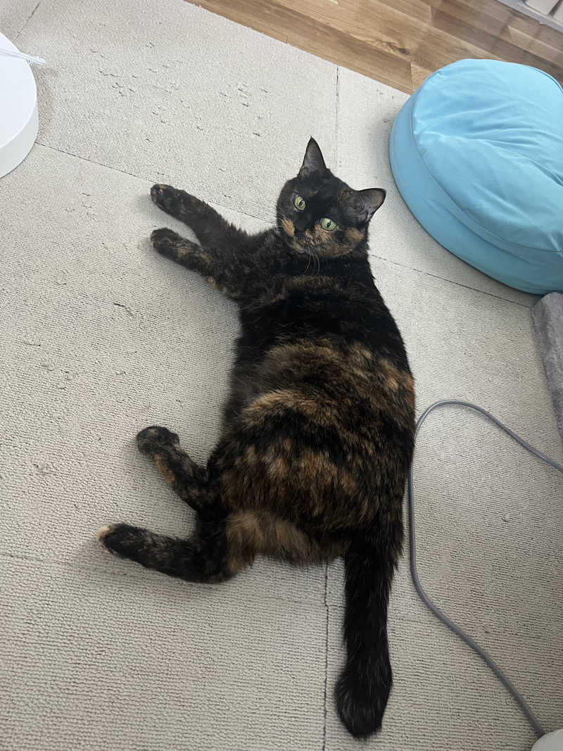 無双サウファー旅人🌏🚙✨さんの休日湯のサ活写真