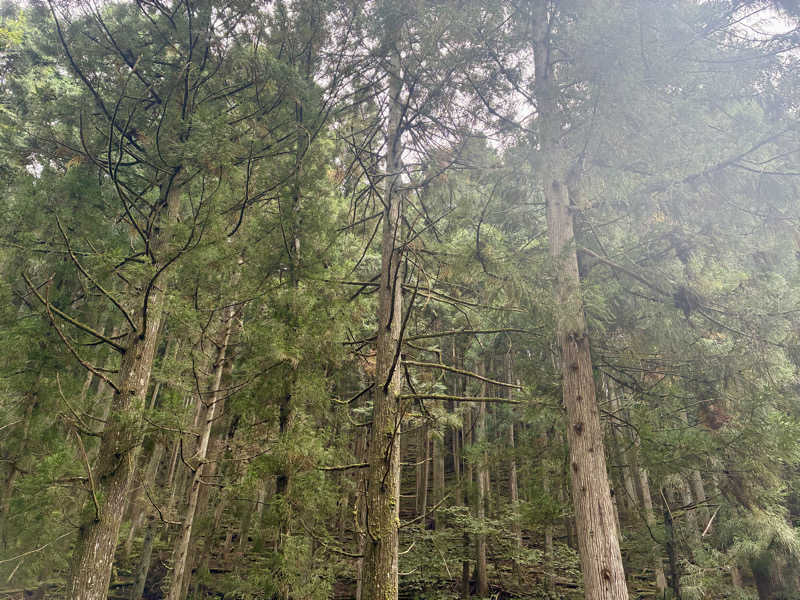 保護猫さんのKanzaki Sanga Saunaのサ活写真
