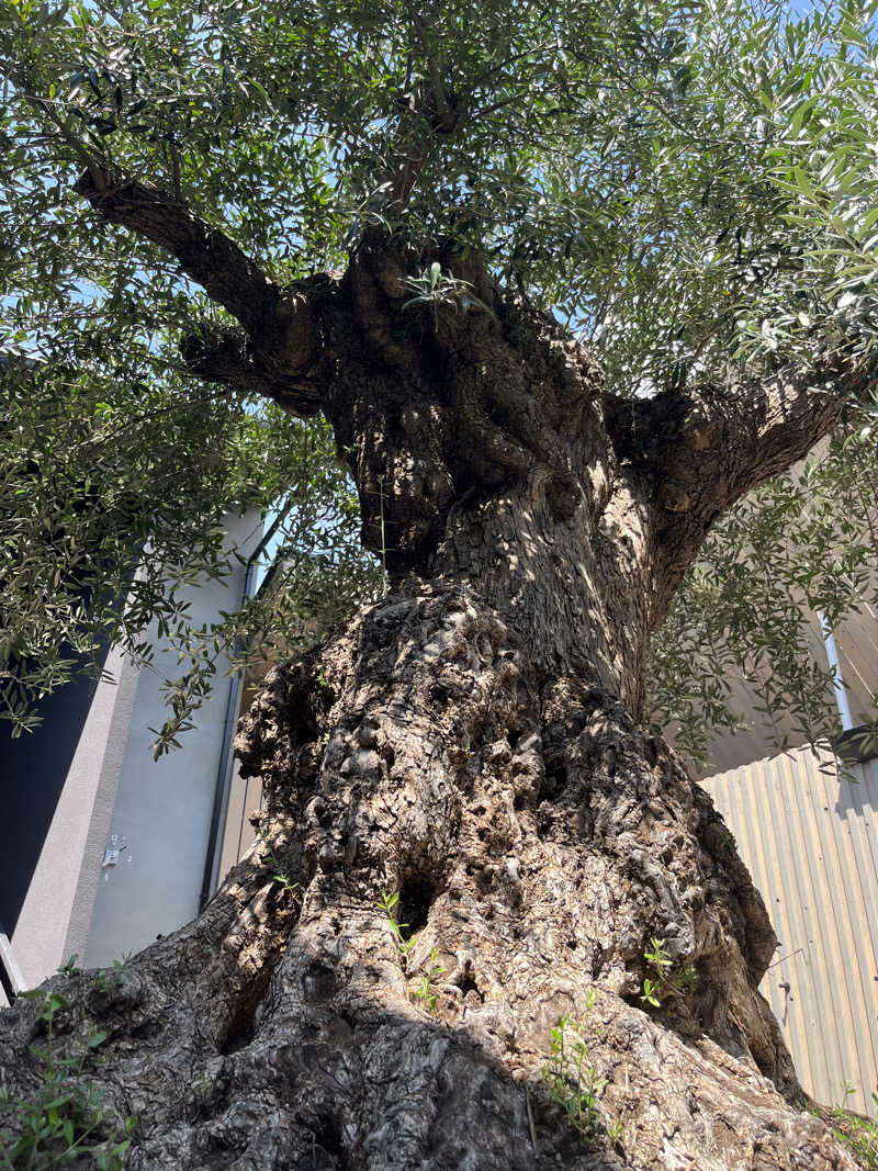 じんいちさんのsauna kolme kylä (サウナ コルメ キュラ)のサ活写真