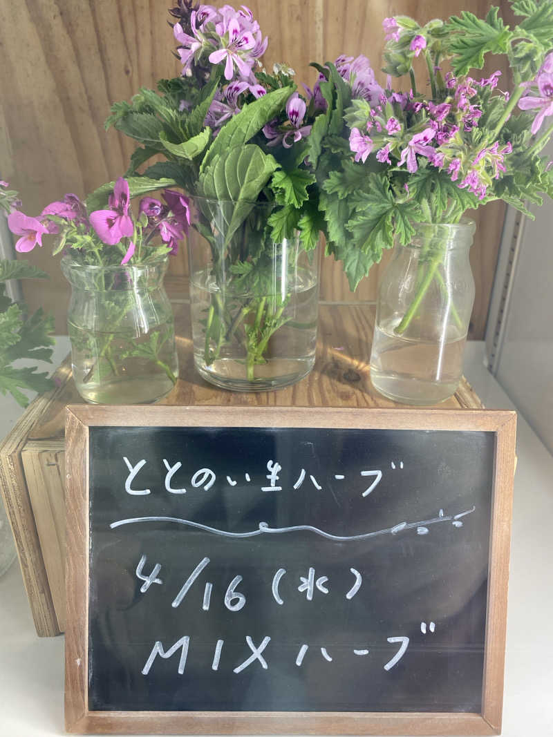 ささんの各務原 恵みの湯のサ活写真