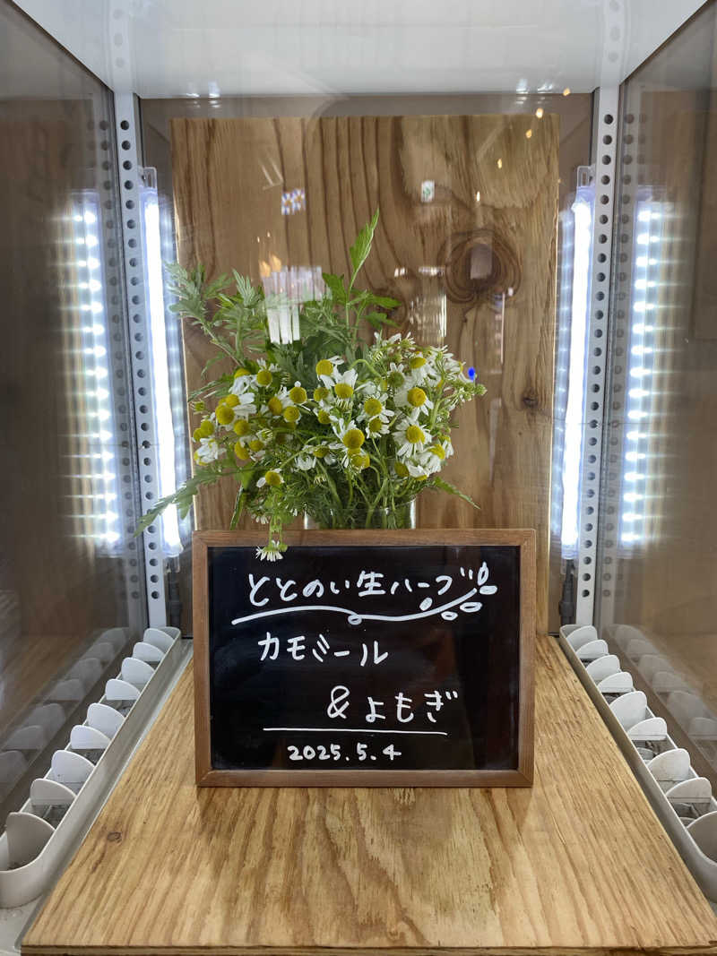 ささんの各務原 恵みの湯のサ活写真