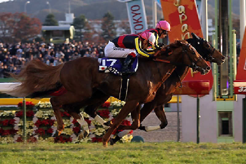 サウナ🌟ビギさんの明石大蔵海岸 龍の湯のサ活写真