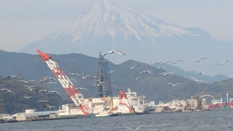 サウナ🌟ビギさんの富士山三島東急ホテルのサ活写真