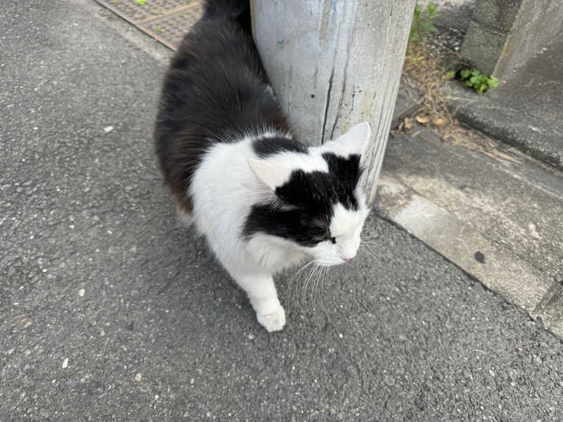 saitosanさんの平和湯のサ活写真