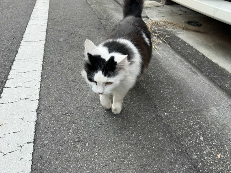 saitosanさんの平和湯のサ活写真