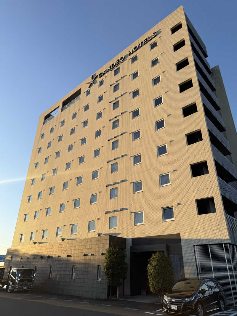 Masayoshiさんのカンデオホテルズ静岡島田のサ活写真