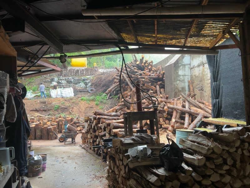 多幸感吉さんのスプソク漢方ランド(森の中の漢方ランド)のサ活写真