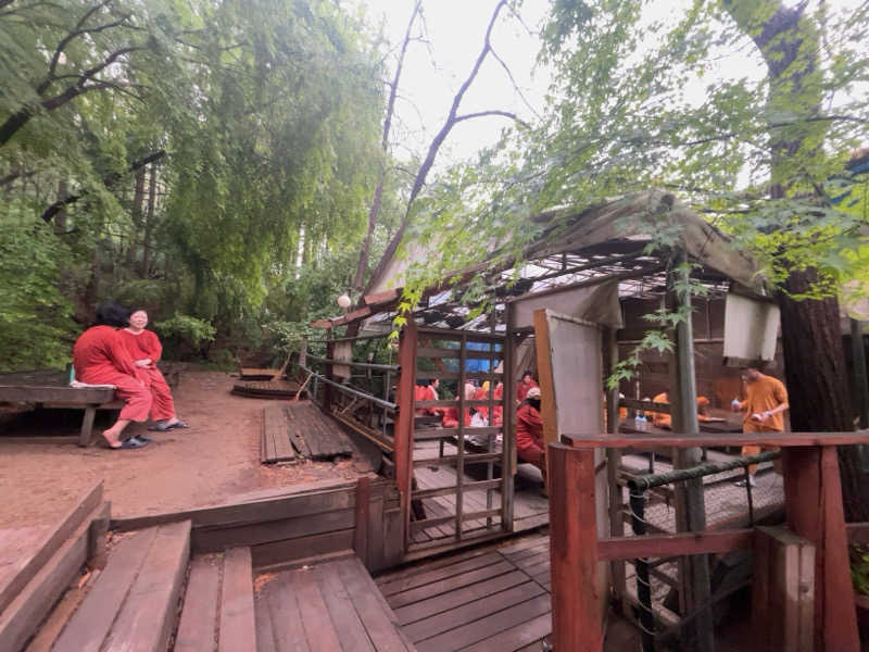 多幸感吉さんのスプソク漢方ランド(森の中の漢方ランド)のサ活写真