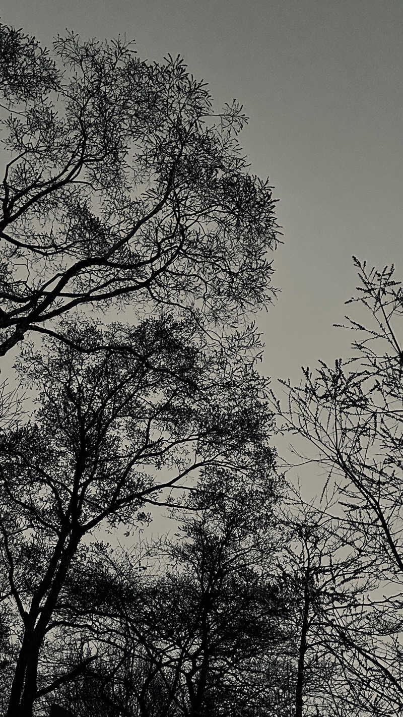 時のホテル【公式】中の人さんのThe Saunaのサ活写真