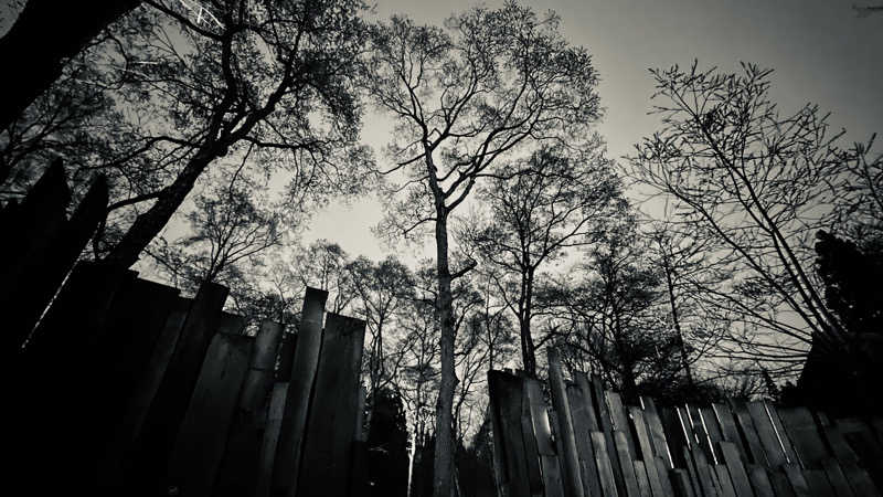 時のホテル【公式】中の人さんのThe Saunaのサ活写真