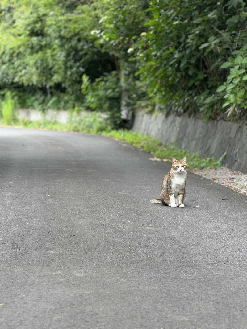 カタカタさんの湯布院プライベートサウナ&温泉NOGIKU  (湯布院旅館のぎく内)のサ活写真