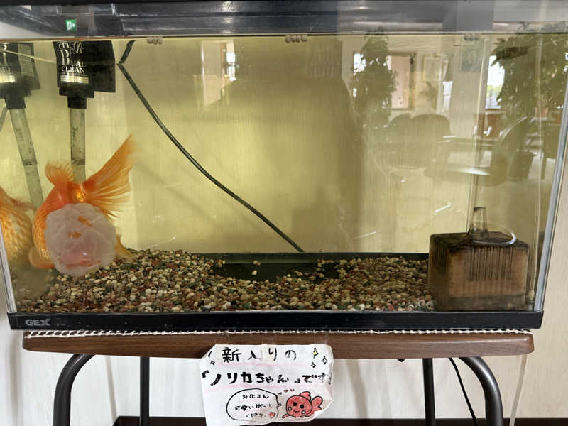 ベーコン目玉焼きパンさんの白樺温泉のサ活写真