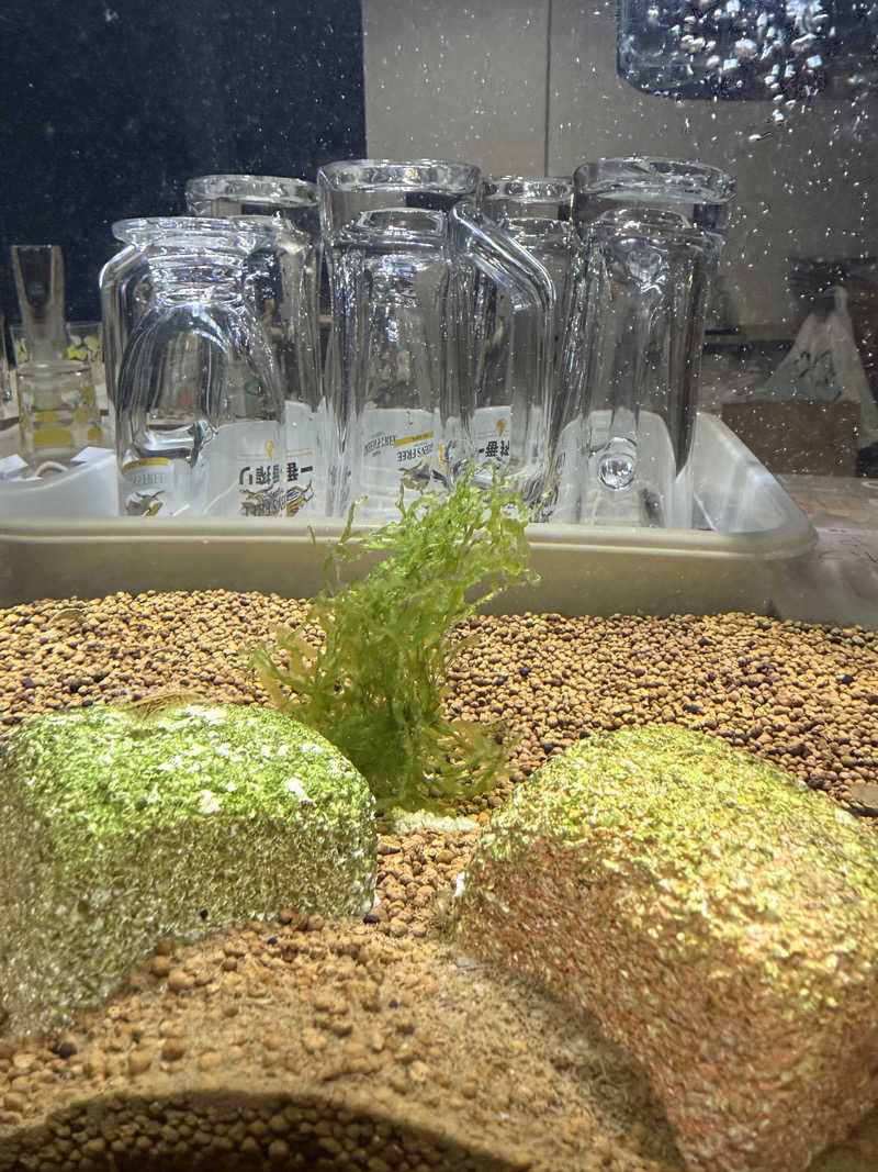 ベーコン目玉焼きパンさんのひまわり温泉のサ活写真