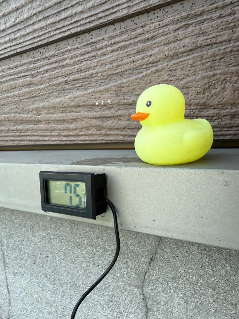 ベーコン目玉焼きパンさんの5737コンナサウナのサ活写真