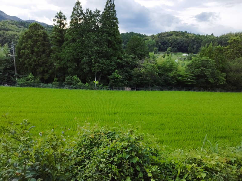 Basicさんの湯乃禅の里 (脇田温泉 楠水閣)のサ活写真