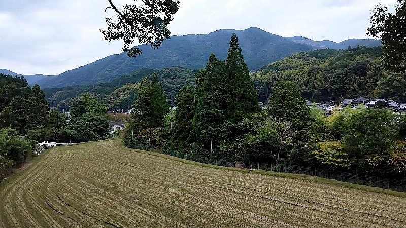 Basicさんの湯乃禅の里 (脇田温泉 楠水閣)のサ活写真