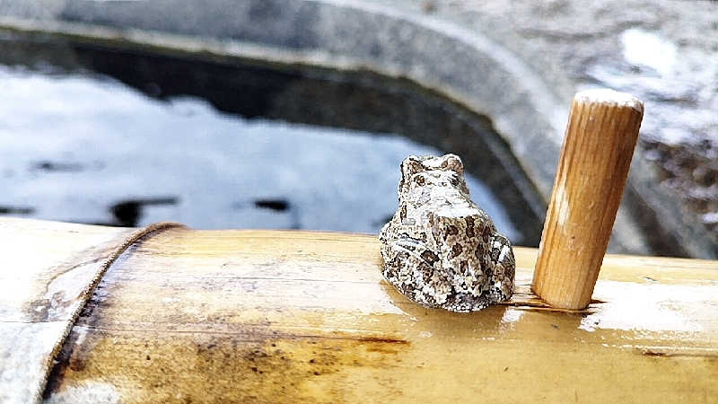 Basicさんの道の駅 おおとう桜街道 さくら館のサ活写真