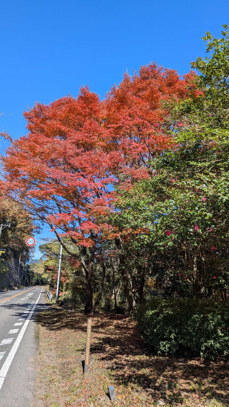 トラウィンさんの霧島温泉 旅の湯(旧 野々湯温泉)のサ活写真