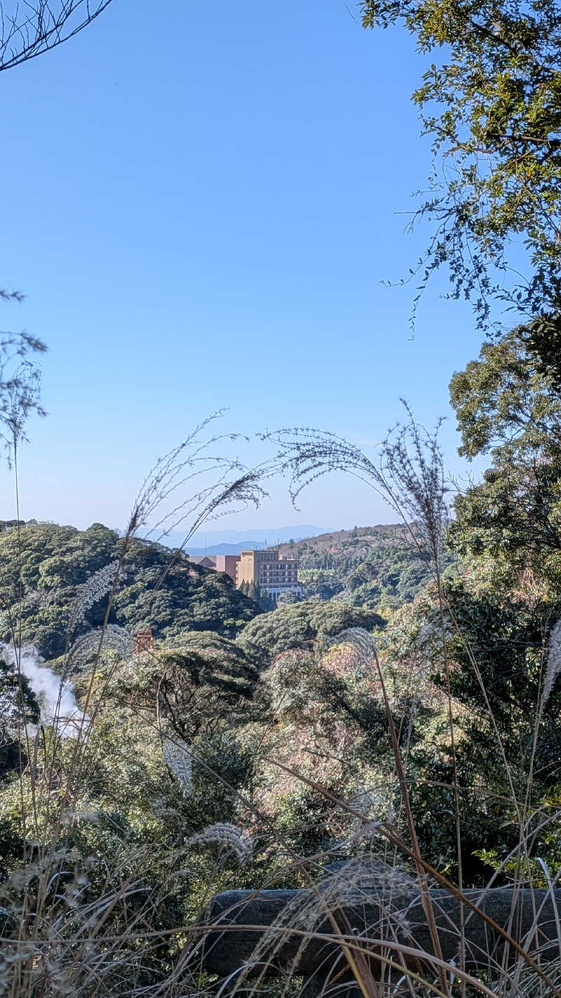 トラウィンさんの霧島観光ホテルのサ活写真