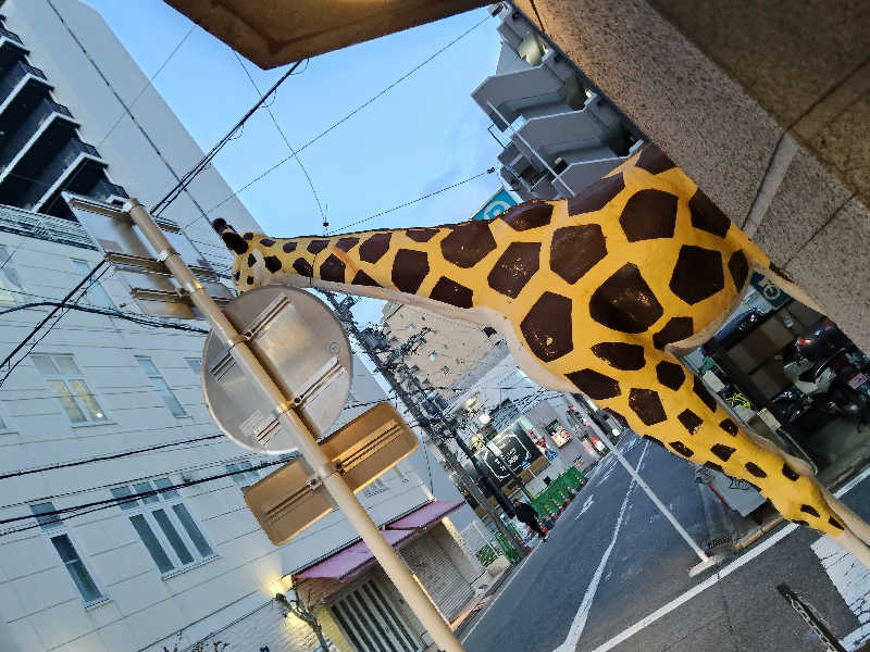 スズキさんさんのウェルビー今池のサ活写真