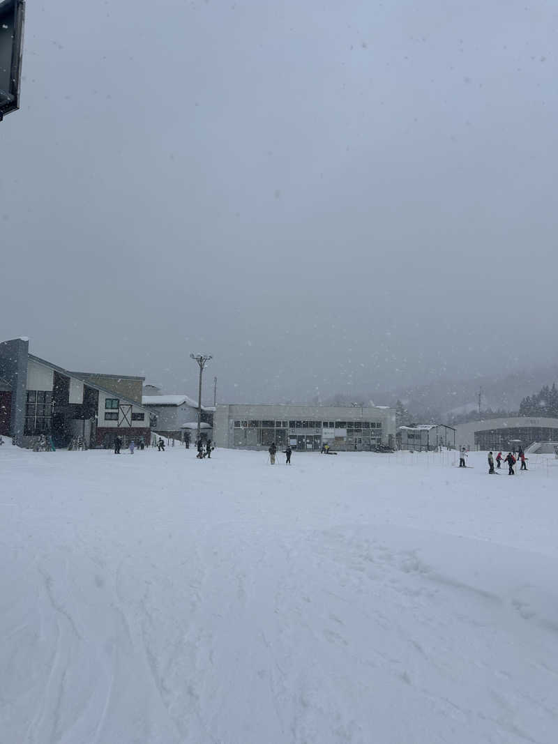やってやんよ山崎さんのやまゆり温泉ホテルブランのサ活写真