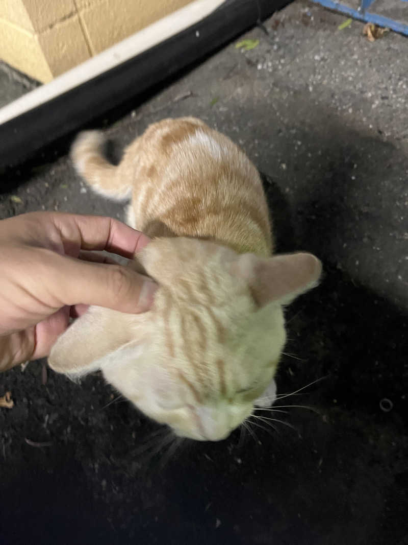 リョウさんの行田・湯本天然温泉 茂美の湯のサ活写真