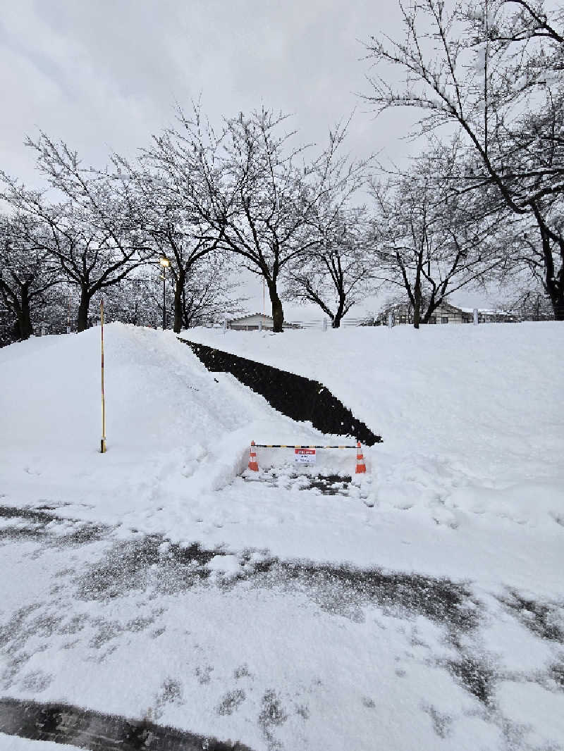 タンセさんの江戸川区立 塩沢江戸川荘のサ活写真