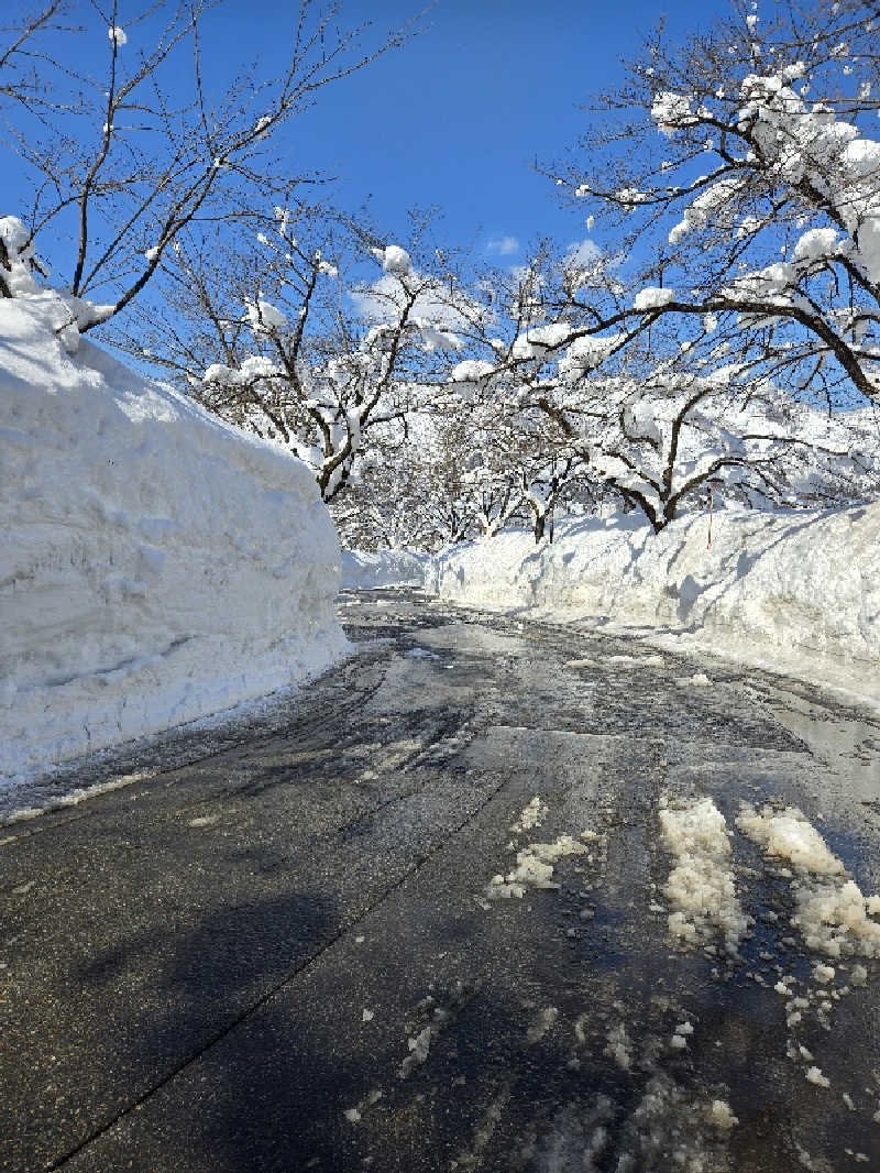 タンセさんの江戸川区立 塩沢江戸川荘のサ活写真