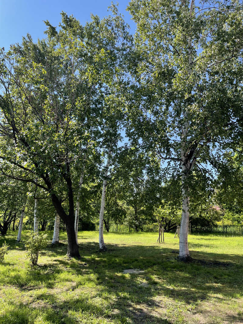 TMKさんの灯の湯 ドーミーインPREMIUM小樽のサ活写真