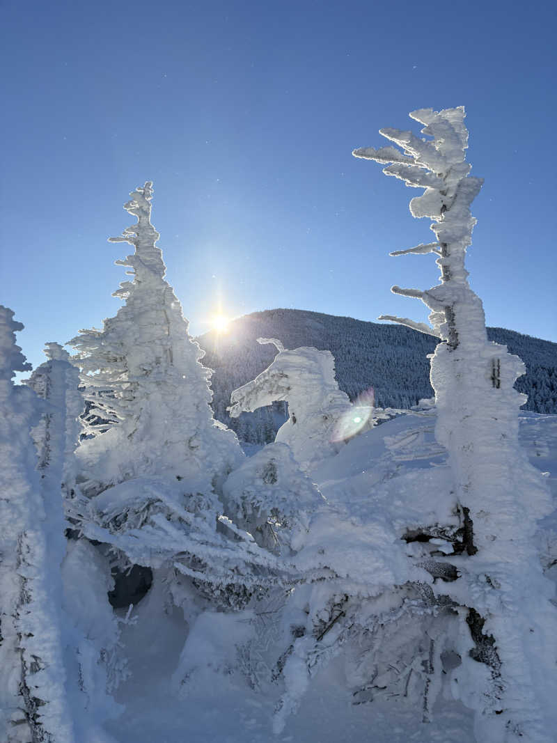 吉さんの富士山天然水SPA サウナ鷹の湯のサ活写真