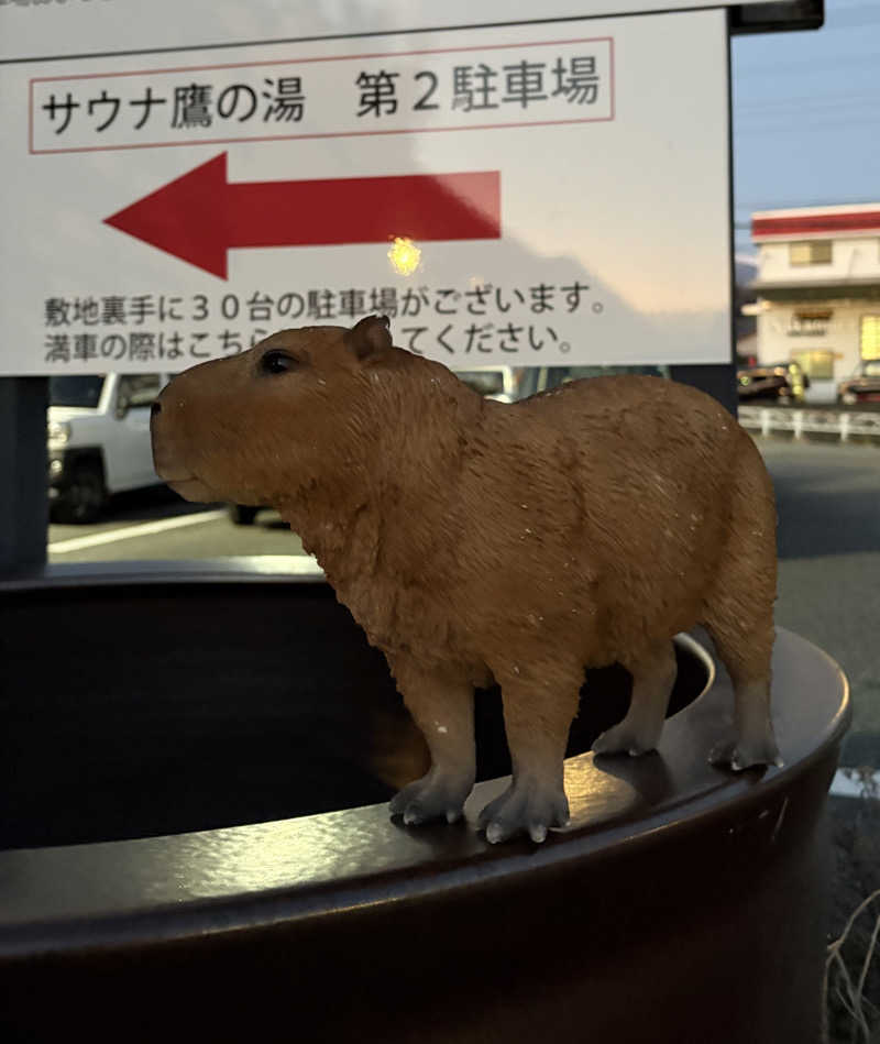 吉さんの富士山天然水SPA サウナ鷹の湯のサ活写真