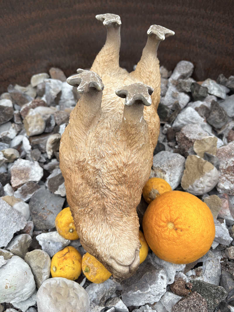 吉さんの富士山天然水SPA サウナ鷹の湯のサ活写真