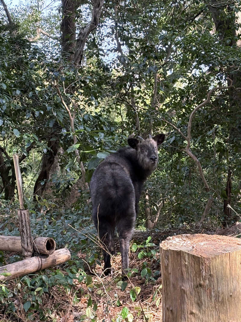 吉さんのふきさらし湯のサ活写真