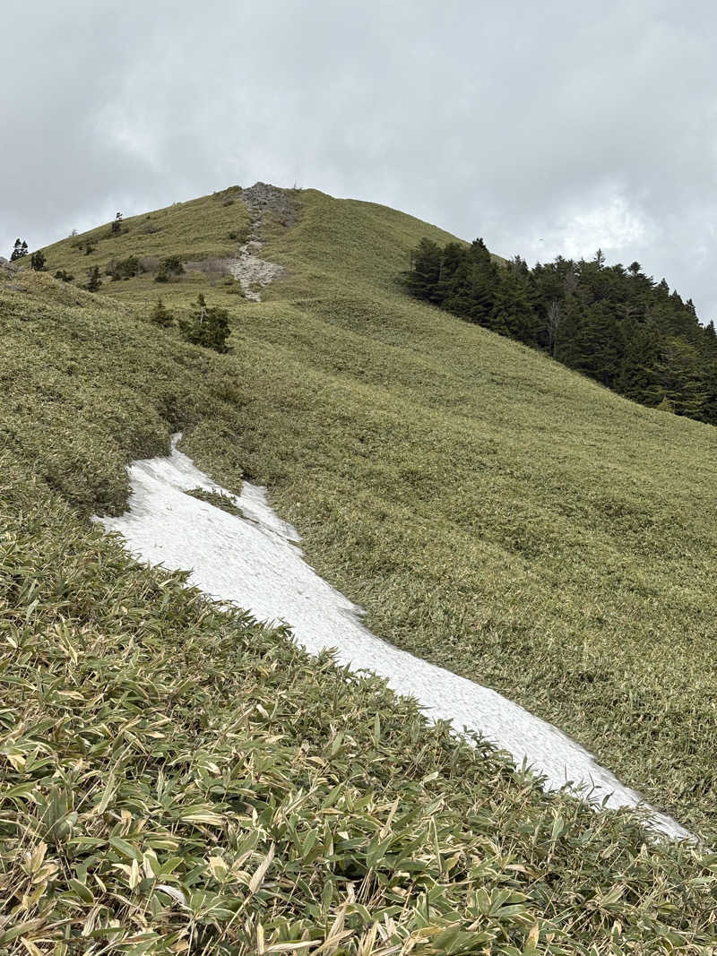 吉さんの富士山天然水SPA サウナ鷹の湯のサ活写真