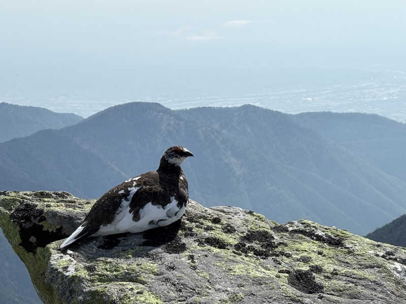 吉Ｇ　⛰️🏌️‍♀️さんの富士山天然水SPA サウナ鷹の湯のサ活写真