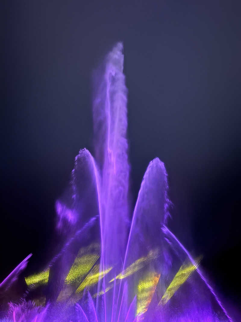 吉Ｇ　⛰️🏌️‍♀️さんの沼津インターグランドホテルのサ活写真